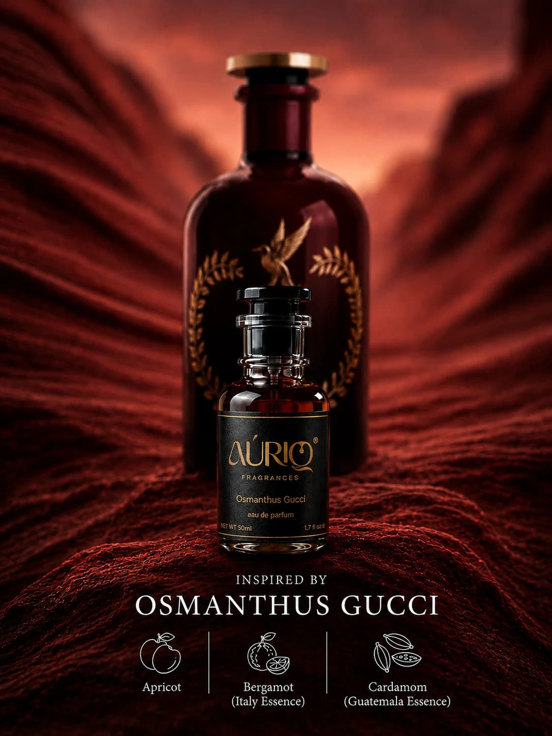 Osmanthus Gucci - Image 1